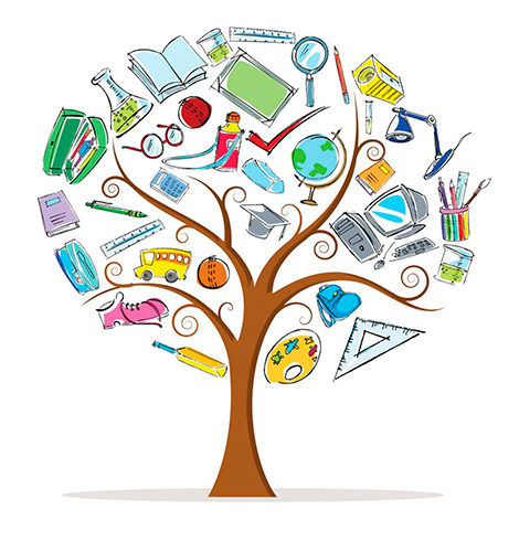 Orientación sobre el sistema educativo